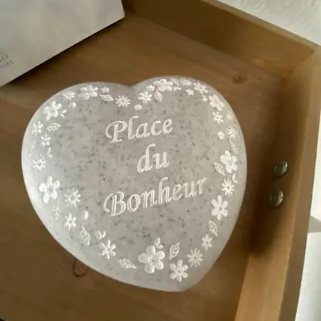 Apartament Place Du Bonheur Bel F2 Sarrebourg